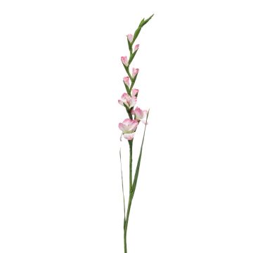Artificial gladiolus AJNUR, pink-white, 4ft/125 cm