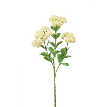 Artificial Sedum flower EUFRASIA, cream, 22"/55 cm