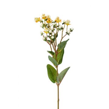 Fake St. John's wort CANNO with flowers, fruits, yellow-white, 26"/65 cm