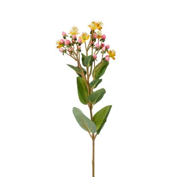 Fake St. John's wort CANNO with flowers, fruits, yellow-fuchsia, 26"/65 cm