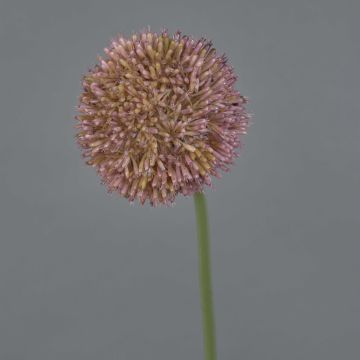 Artificial allium NATASHA, purple, 26"/65 cm, Ø 4"/10 cm