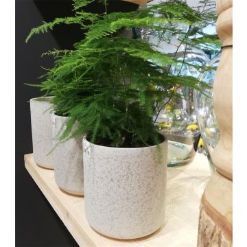 Planter ARAYA, ceramic, speckled, beige, 5"/13cm, Ø5"/13cm