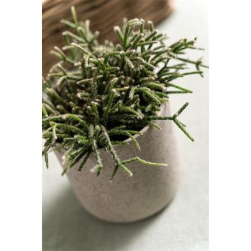 Planter ARAYA, ceramic, speckled, green, 5"/13cm, Ø5"/13cm