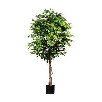 Artificial tree Ficus benjamina ARNOMO, natural stems, 6ft/180cm