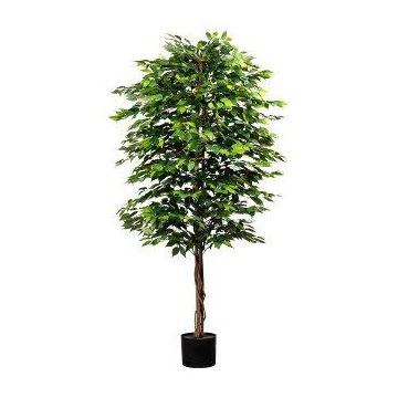 Artificial tree Ficus benjamina ARNOMO, natural stems, 7ft/210cm
