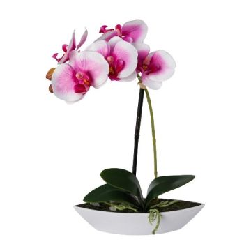 Artificial Phalaenopsis orchid ORWAN, decorative bowl, roots, white-purple, 12"/30cm