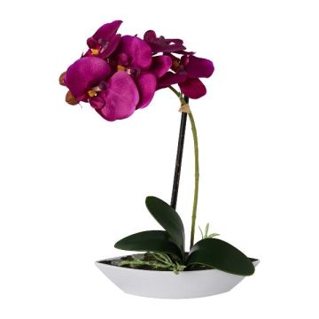 Artificial Phalaenopsis orchid ORWAN, decorative bowl, roots, purple, 12"/30cm