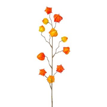 Decorative branch Physalis LISOP with fruits, orange-yellow, 31"/80cm