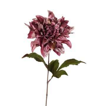 Velvet dahlia MINBU, dusky pink, 24"/60cm, Ø7"/18cm