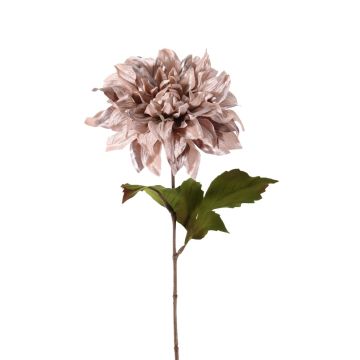 Velvet dahlia MINBU, beige-pink, 24"/60cm, Ø7"/18cm