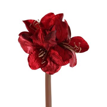 Velvet amaryllis KIRSTY, red, 28"/70cm, Ø3.5"/9cm