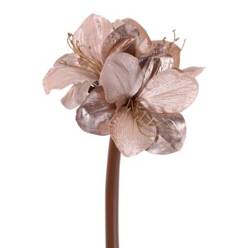 Velvet amaryllis KIRSTY, beige-pink, 28"/70cm, Ø3.5"/9cm
