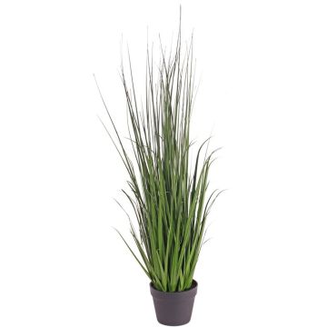 Artificial sedge grass ALEXANDRINA, green, 4ft/115cm
