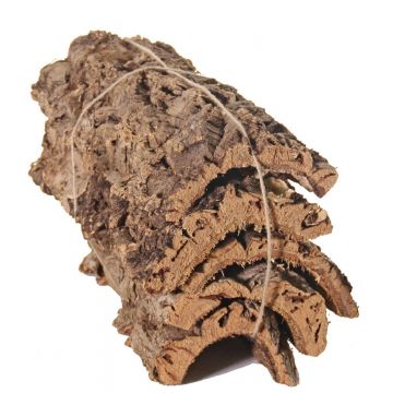 Natural cork bark pieces DIANTHA, 5 pieces, brown, 20"x10"/50x25cm
