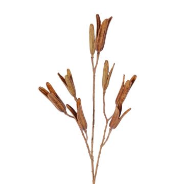 Artificial lily seed spray ELFIDA, brown, 31"/80cm