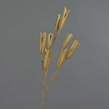 Artificial lily seed spray ELFIDA, brown, 31"/80cm