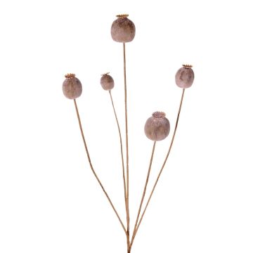 Artificial poppy capsule FILOMELA, light brown, 30"/75cm