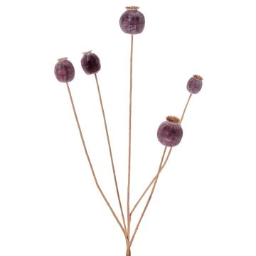 Artificial poppy capsule FILOMELA, dark brown, 30"/75cm