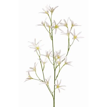 Artificial flower Tweedia solanoides PALLAS, white, 30"/75cm, Ø2"/5cm
