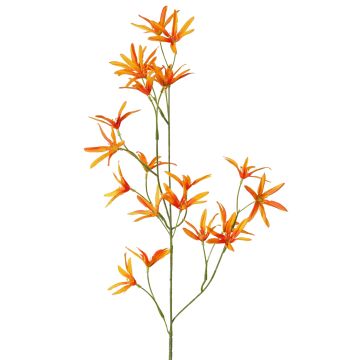 Artificial flower Tweedia solanoides PALLAS, orange, 30"/75cm, Ø2"/5cm