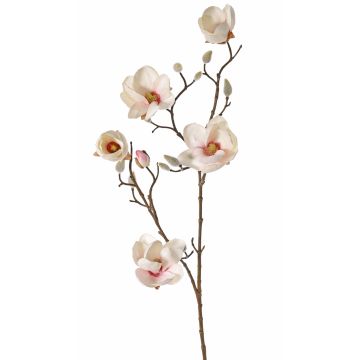 Fake magnolia KOSTAS, cream-pink, 31"/80cm, Ø2"-3.1"/5-8cm
