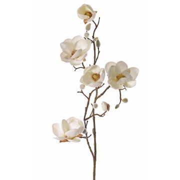 Fake magnolia KOSTAS, cream, 31"/80cm, Ø2"-3.1"/5-8cm