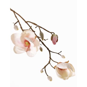 Fake magnolia KOSTAS, cream-pink, 22"/55cm, Ø2"-3.1"/5-8cm