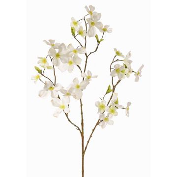 Artificial flower dogwood NARIUS with blossoms, cream, 33"/85cm