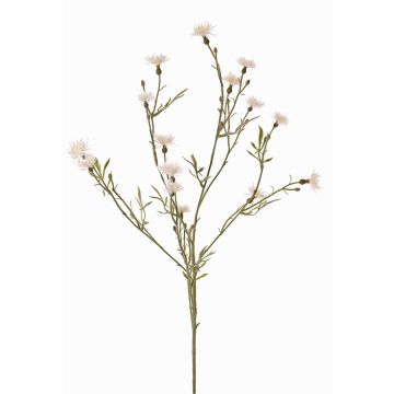 Artificial flower cornflower ZENOBIOS, cream, 31"/80cm