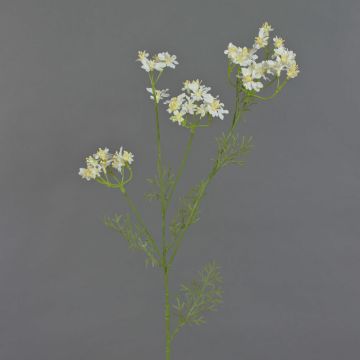 Artificial Wild Carrot KALOMIRA, white, 33"/85cm