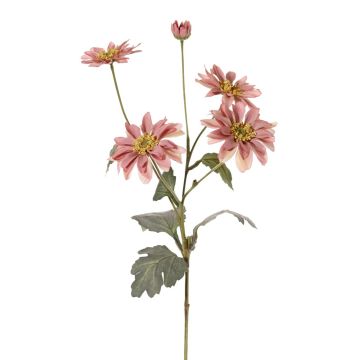 False chrysanthemum INDALI, dusky pink, 26"/65cm, Ø2.6"-3.1"/6,5-8cm