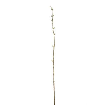 Artificial pussy willow branch DAFINO with flowers, white, 3ft/105cm