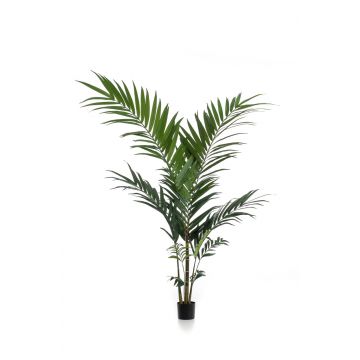 Fake Kentia palm NESTA, 5ft/150cm