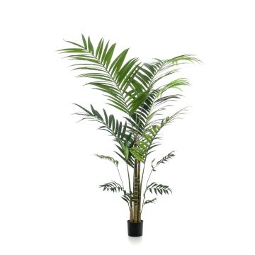 Fake Kentia palm NESTA, 7ft/210cm