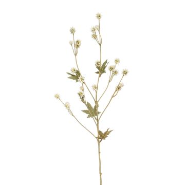 Artificial flower Sanicle PINKOLA, cream, 26"/65cm