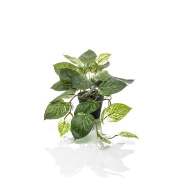 Artificial scindapsus pictus TREVA, green-white, 22"/55cm
