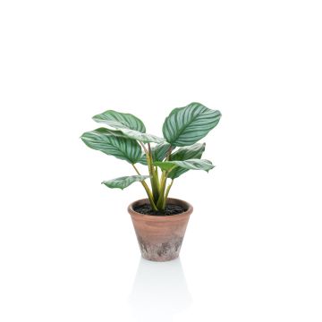 Artificial Calathea Orbifolia ESMIE in terracotta pot, green-white, 12"/30cm