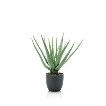 Artificial Aloe Vera EVELIO in decorative pot, 14"/35cm