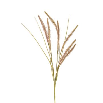 Artificial foxtail grass VILMA, spike, panicles, green-pink, 24"/60cm