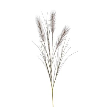 Artificial pampas grass branch BALARI, panicles, dark brown, 26"/65cm