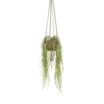 Artificial Hoya linearis hanging basket MIKI, terracotta pot, green, 33"/85cm