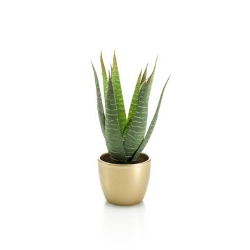 Artificial Aloe variegata MARTINEZ, golden ceramic pot, green, 10"/25cm, Ø6.7"/17cm