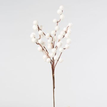 Artificial branch Gomphocarpus KALANI with fruits, frozen, white, 18"/45cm