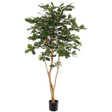 Artificial oak tree SUMAYA, real stem, crossdoor, green, 6ft/180cm