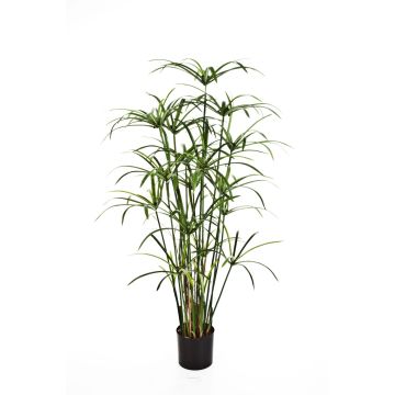 Artificial plant Papyrus ALBY, green, 4ft/125cm