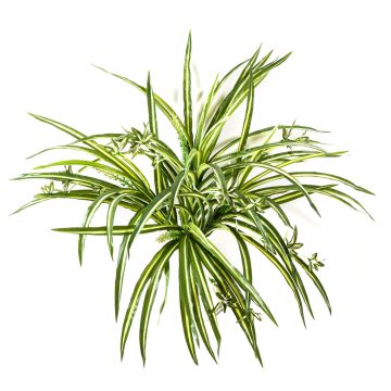Artificial spider plant KOCHAB, on spike, green-yellow, 22"/55cm