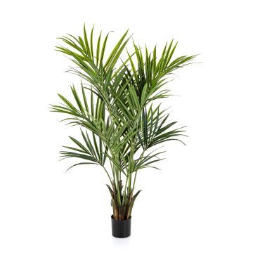 Artificial Kentia palm OMAYRA, bushy, 6ft/170cm
