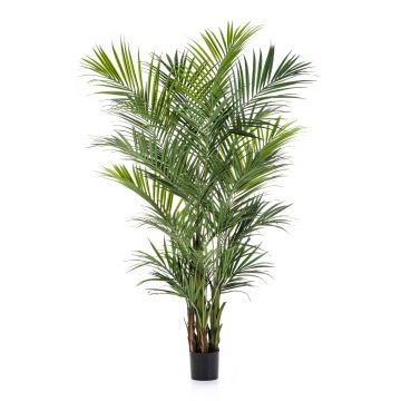 Artificial Kentia Palm OMAYRA, bushy, 9ft/260cm