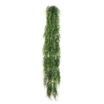 Fake button fern hanging plant PORRIMA on spike, green, 5ft/140cm