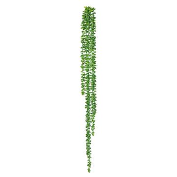 Fake Senecio hanging plant ARNEB on spike, green, 3ft/90cm